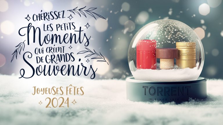 Joyeux Noël ! 7 | Grupo Torrent España Mail Navidad 2024 FR 768x432 1 | Grupo Torrent España