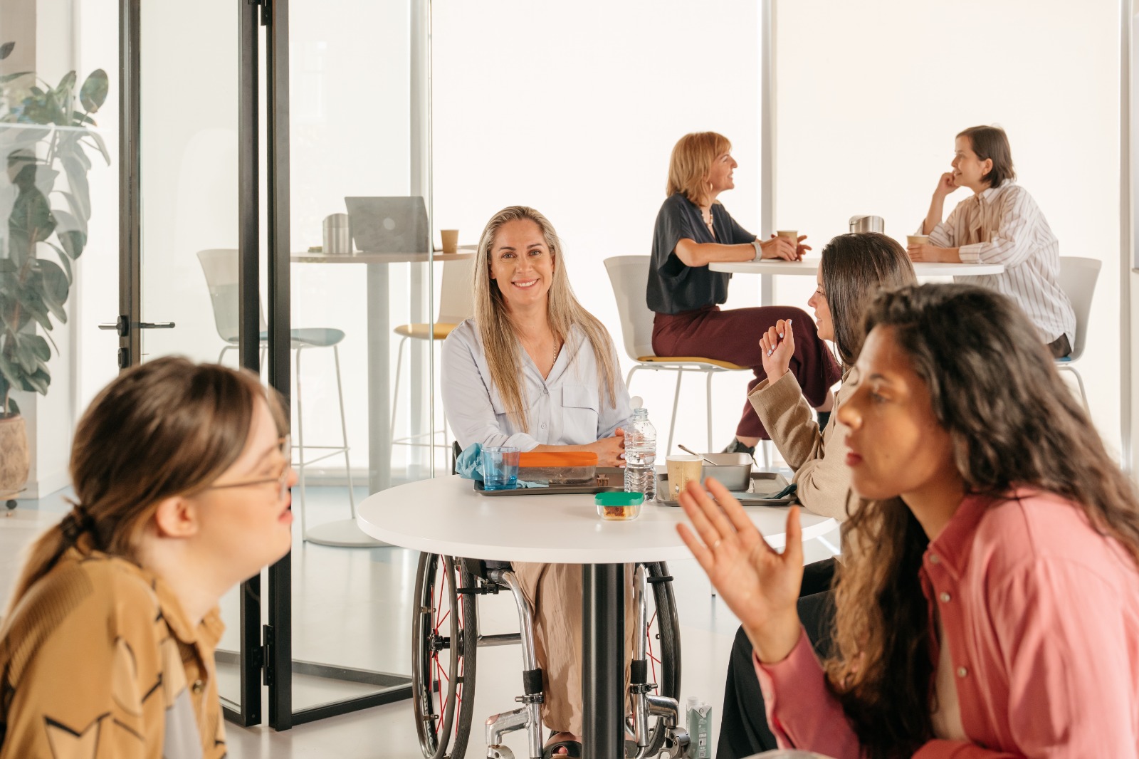 dia de la discapacidad 1