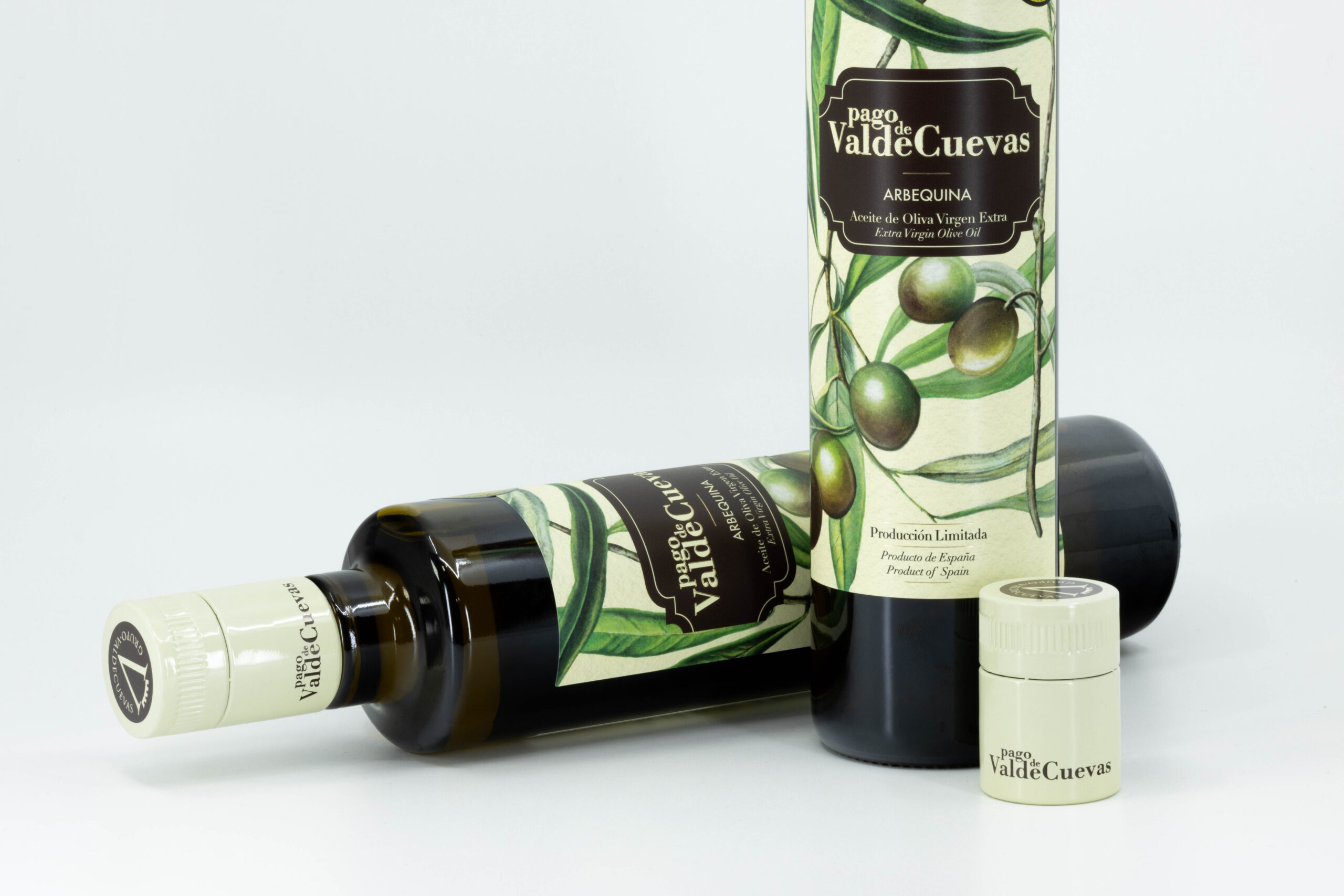 IMG 1376 Valdecuevas Captor 47 scaled | Grupo Torrent España