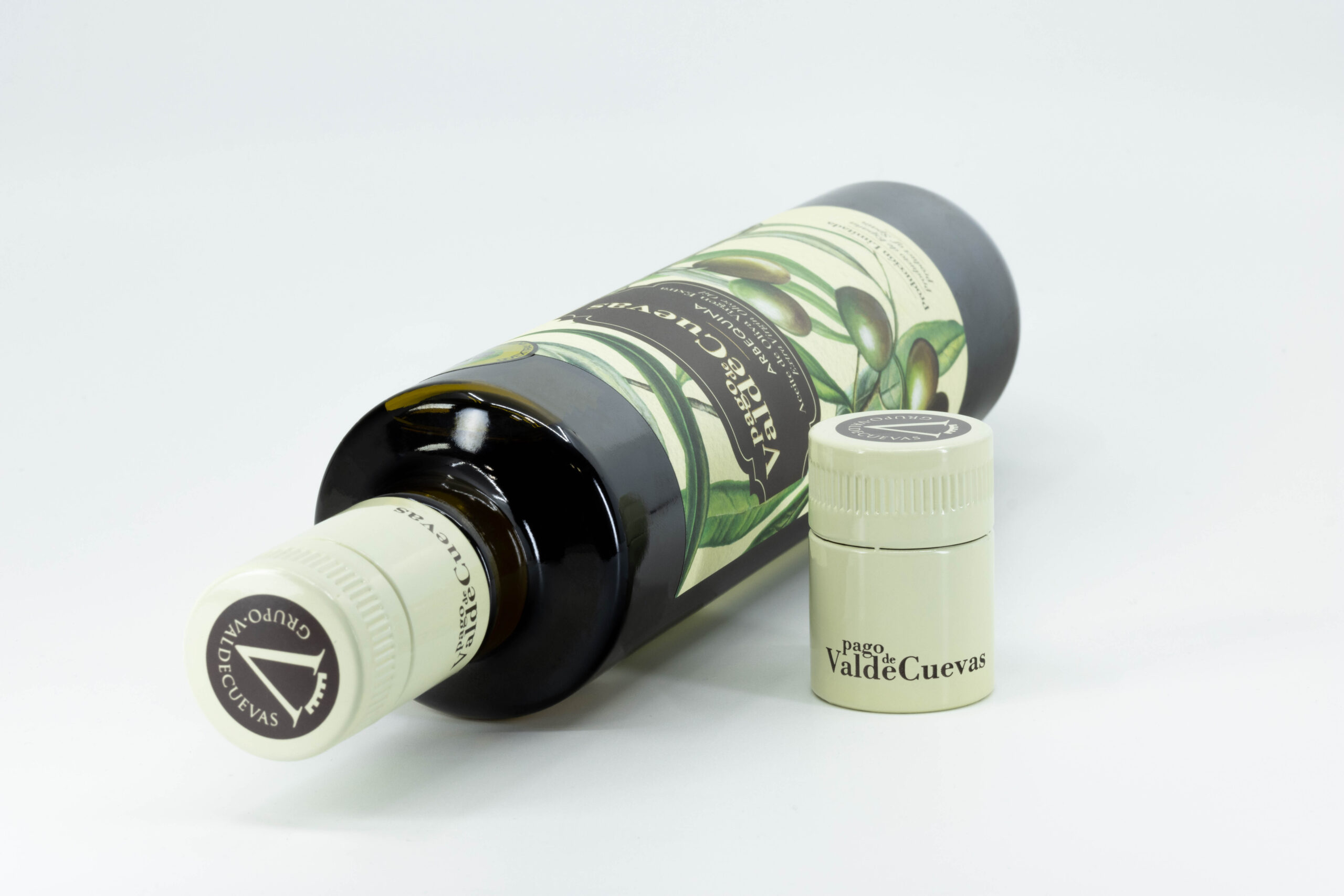 IMG 1380 Valdecuevas Captor 47 scaled | Grupo Torrent España