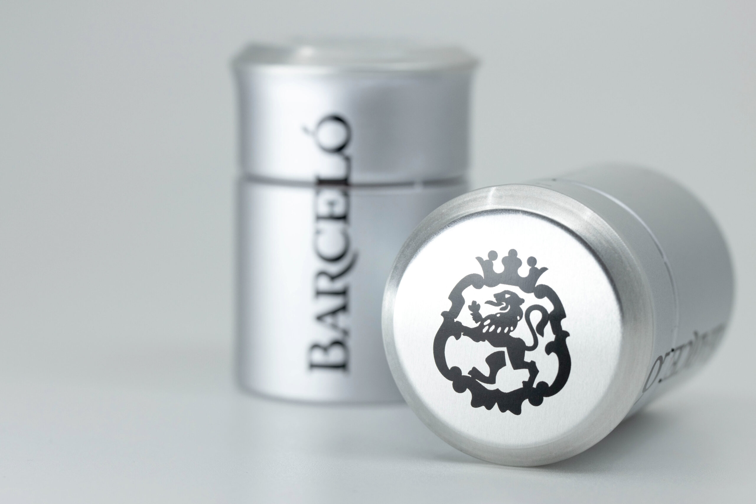 IMG 3640 Barcelo Prestige Capcelo scaled | Grupo Torrent España